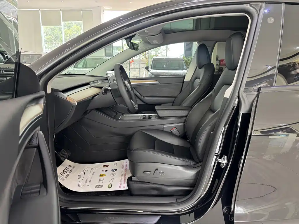 Tesla Model Y — миниатюра 3