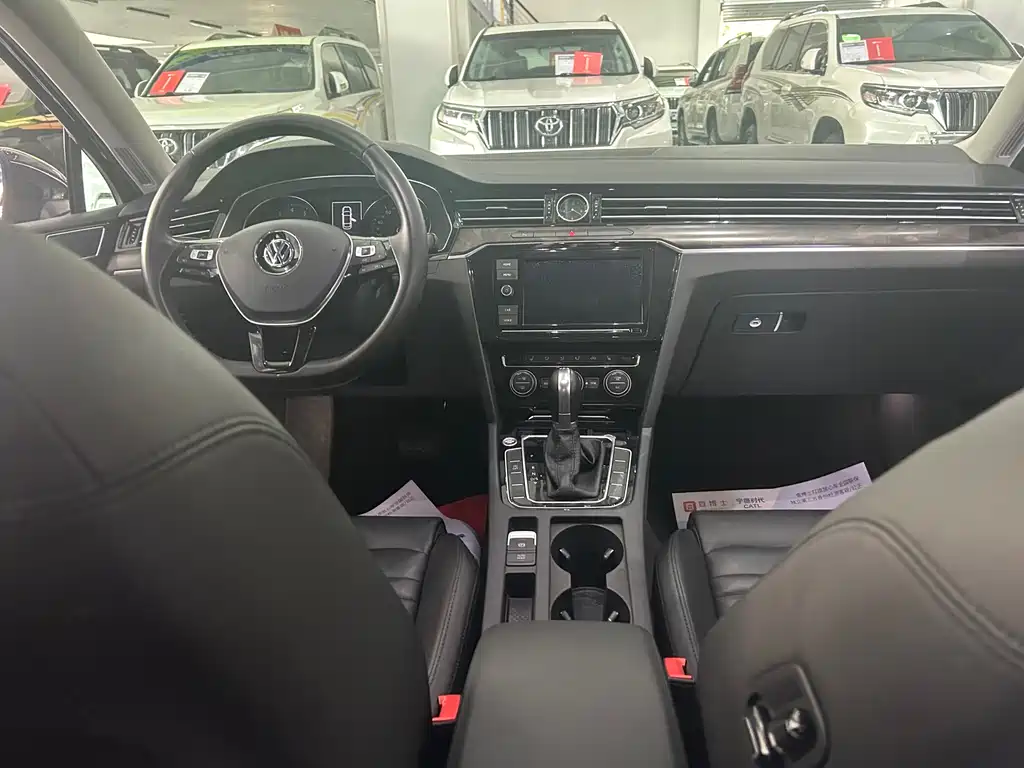Volkswagen Magotan 2019 330TSI DSG Luxury VI
