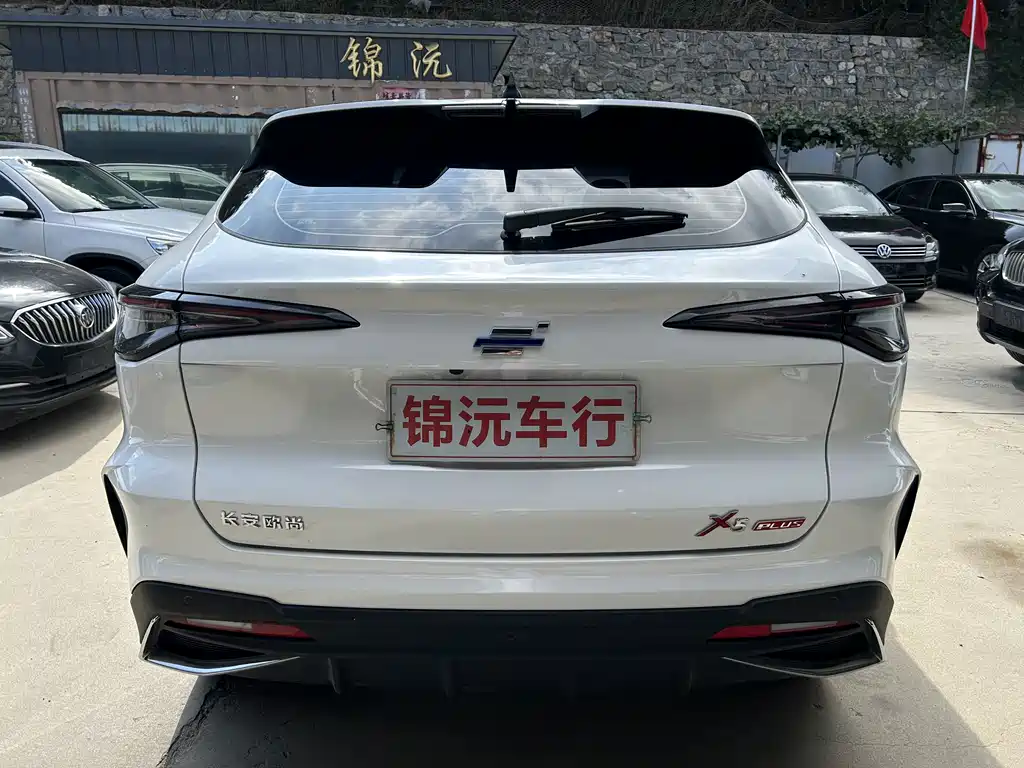 Oshan Oushang X5 PLUS — миниатюра 8