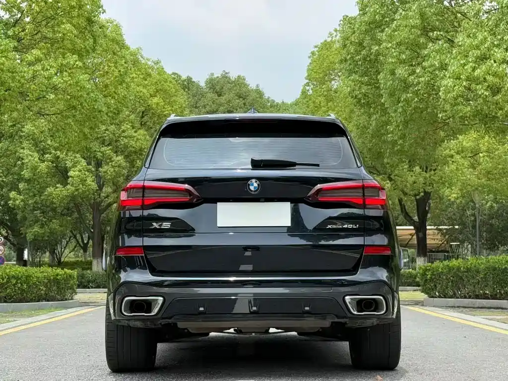 BMW X5 — миниатюра 2
