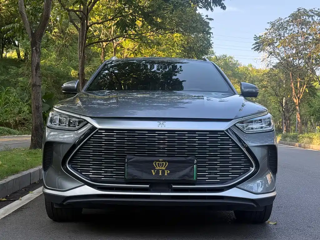 BYD PLUS New Energy — миниатюра 2