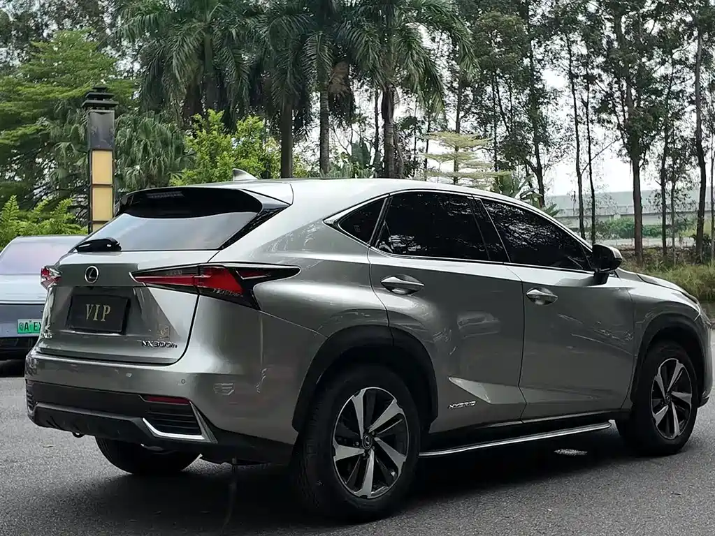 Lexus NX — миниатюра 11
