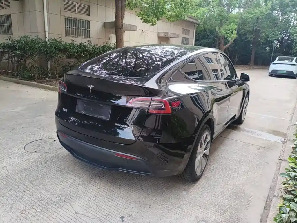 Tesla Model Y — миниатюра 7