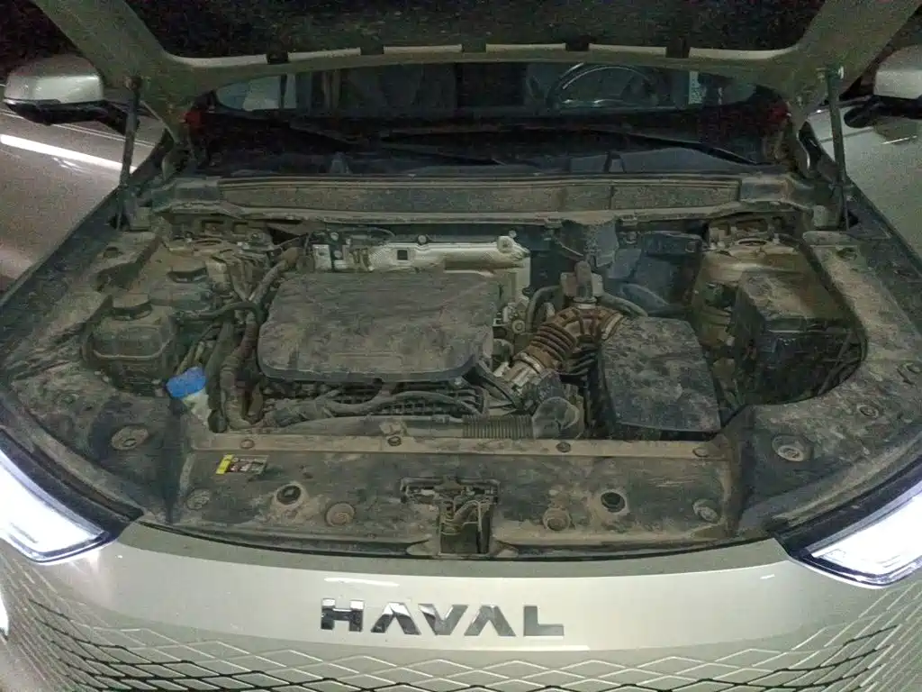 Haval Xiaolong MAX — миниатюра 11