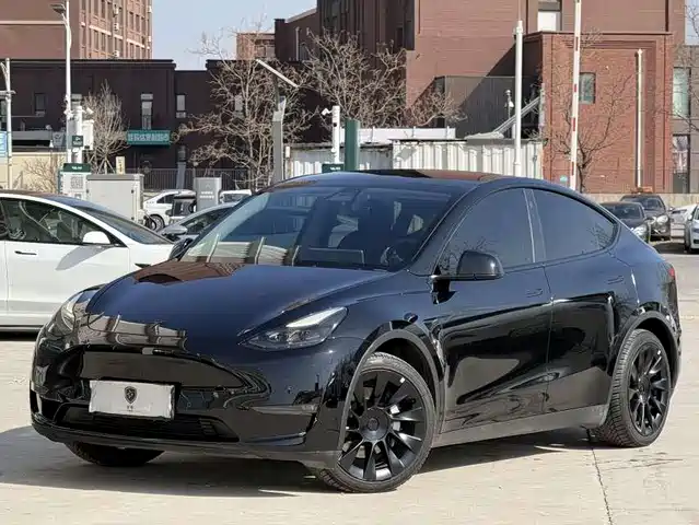 TESLA MODEL Y 2021