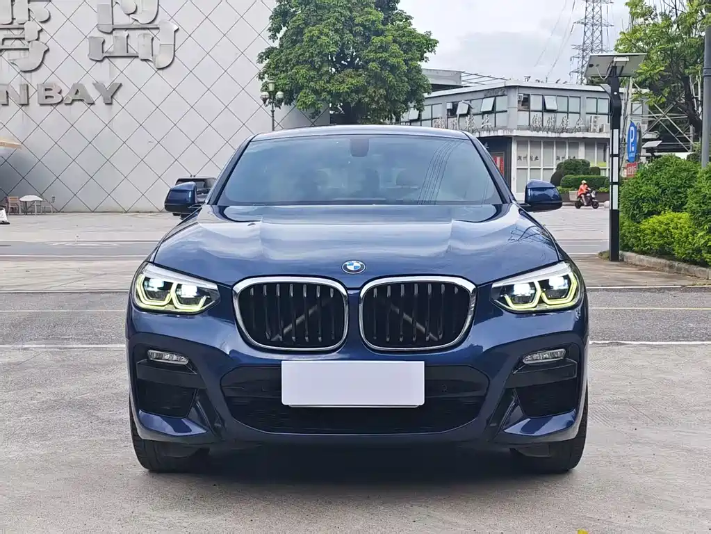 BMW X4 2019 xDrive25i M Sport