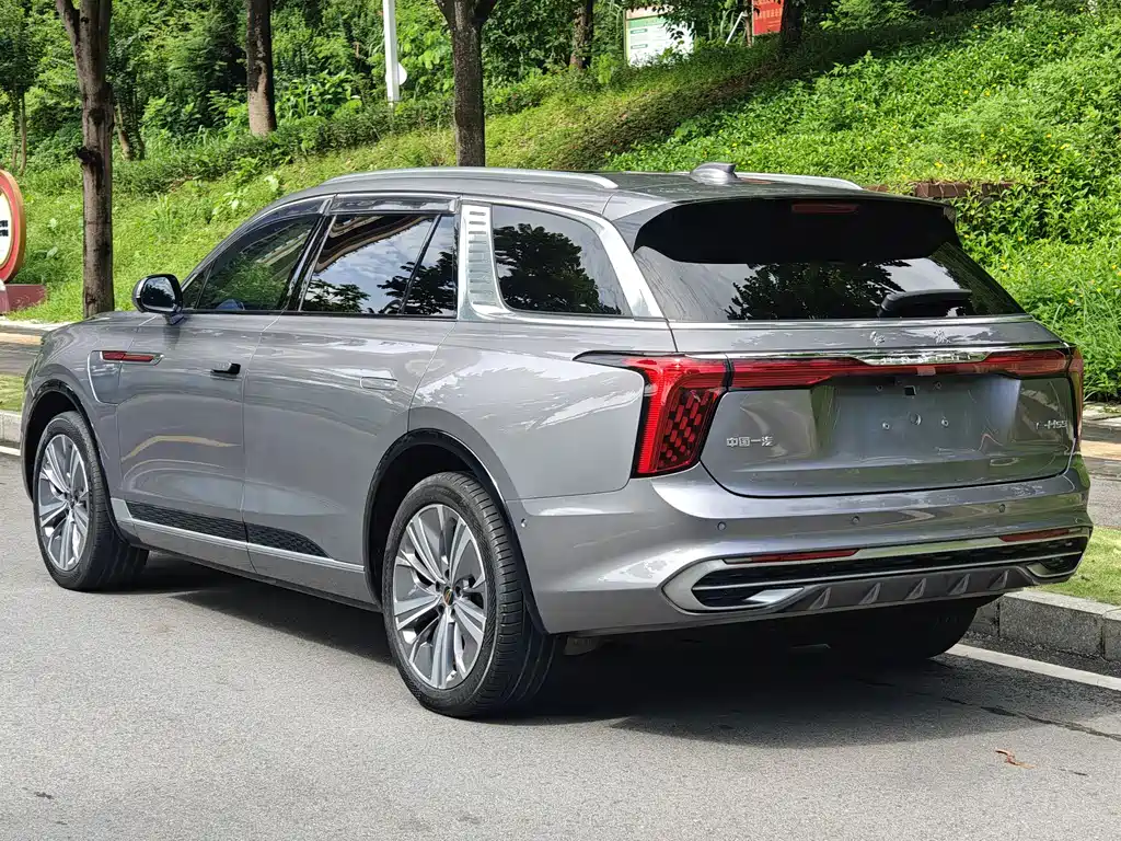 Hongqi E-HS9 2021 460km мест