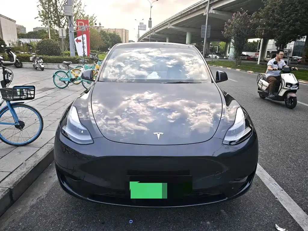 Tesla Model Y — миниатюра 2