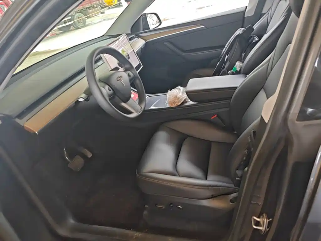 Tesla Model Y — миниатюра 15