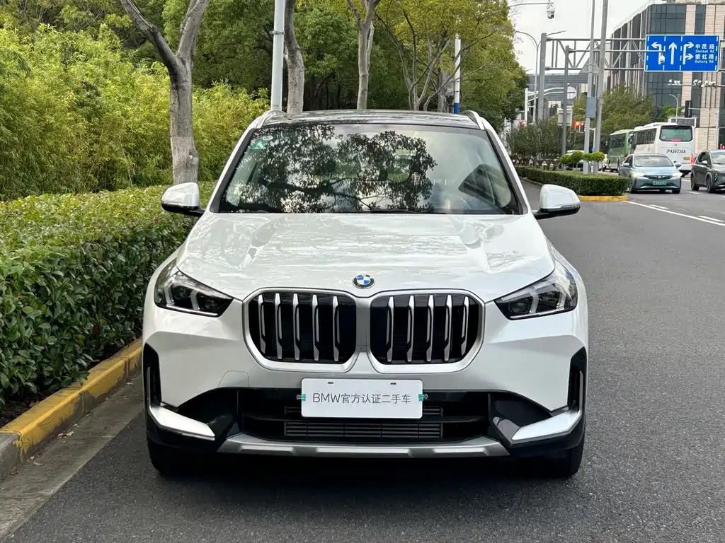 BMW X1 — миниатюра 2