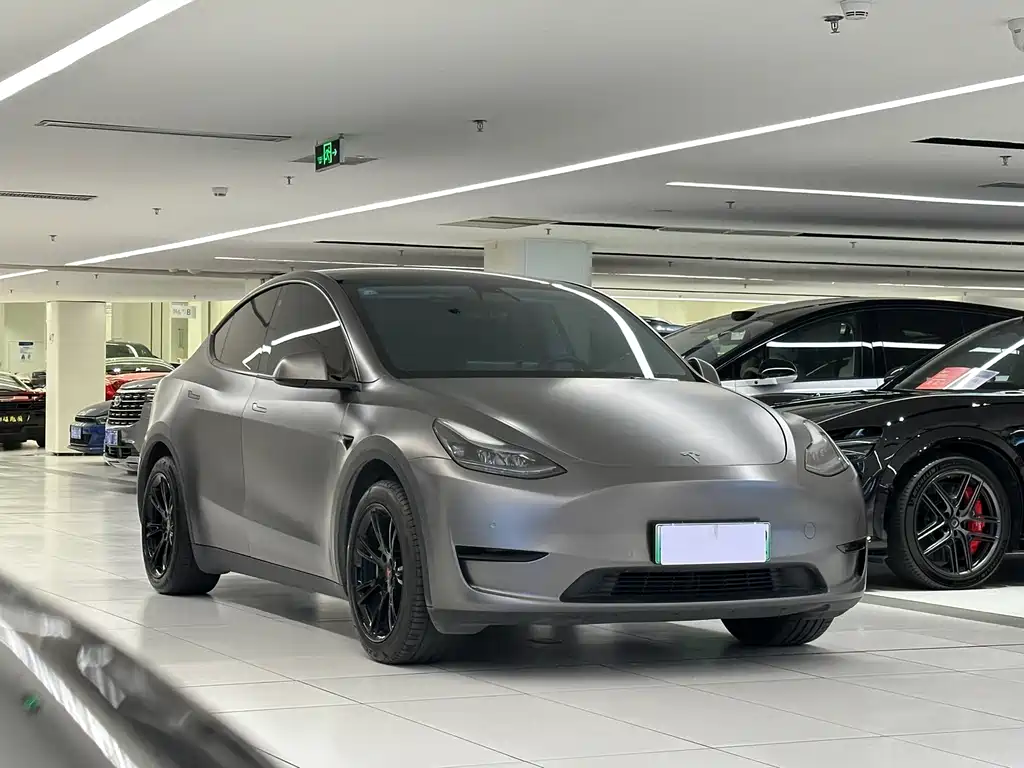 Tesla Model Y — миниатюра 3