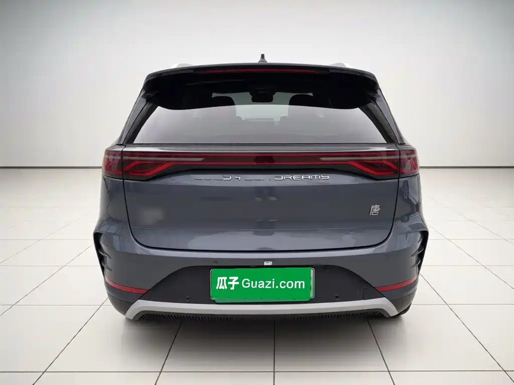 BYD Tang New Energy — миниатюра 3