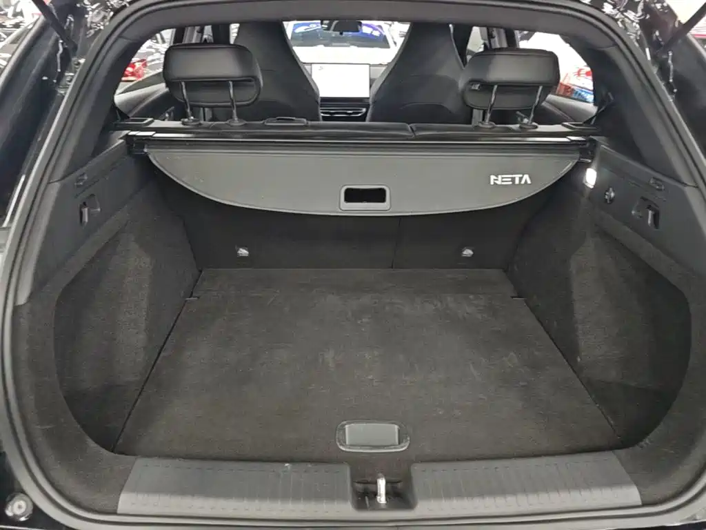 Neta Neta X — миниатюра 19