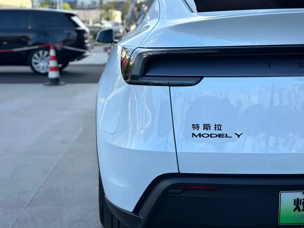 Tesla Model Y — миниатюра 8