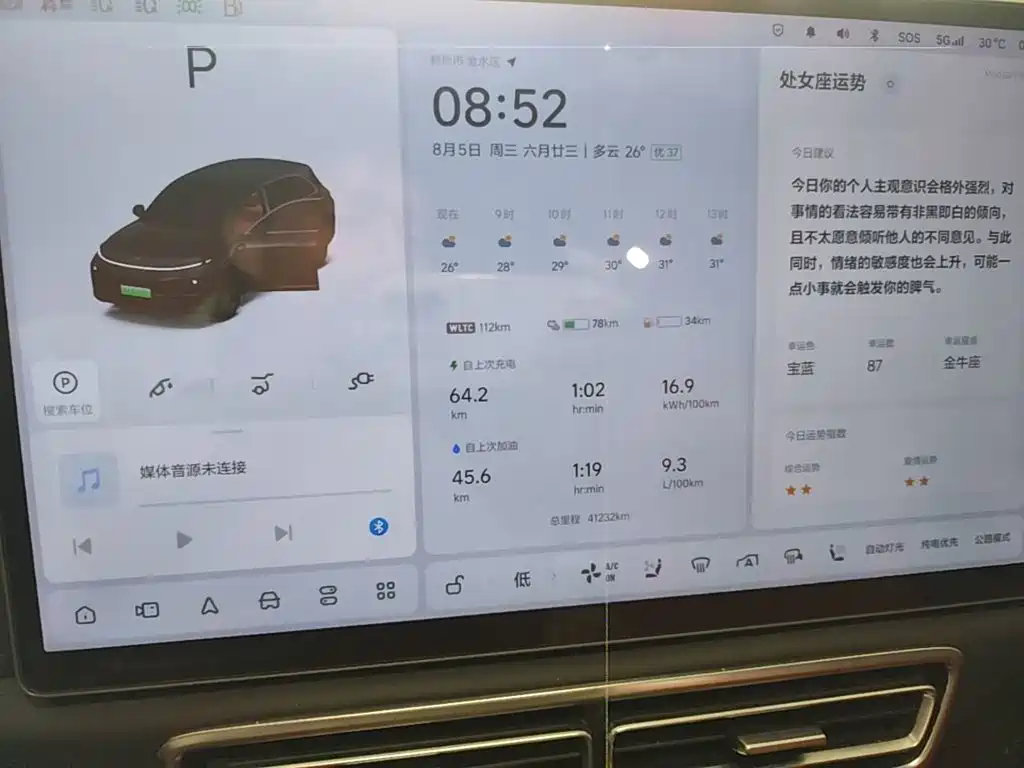 Li Auto Li L7 — миниатюра 12