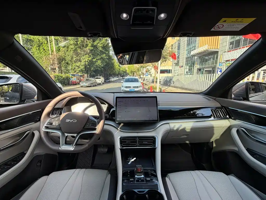 BYD PLUS New Energy — миниатюра 13