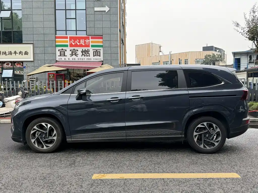 Hyundai Custo — миниатюра 3