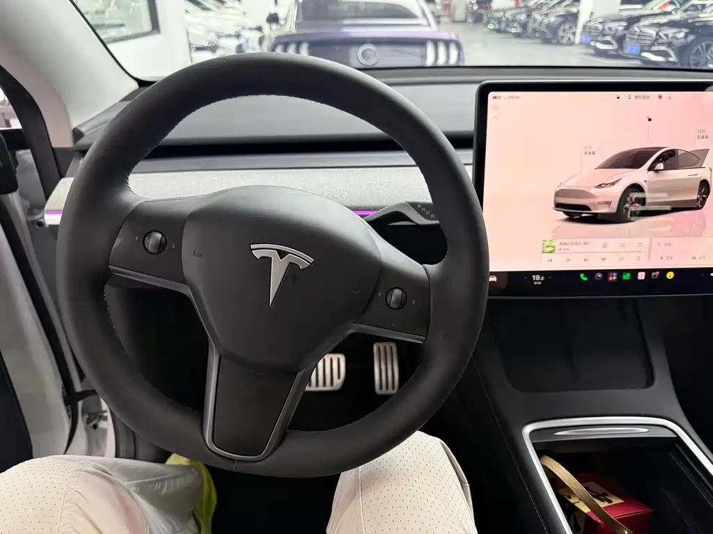 Tesla Model Y — миниатюра 5