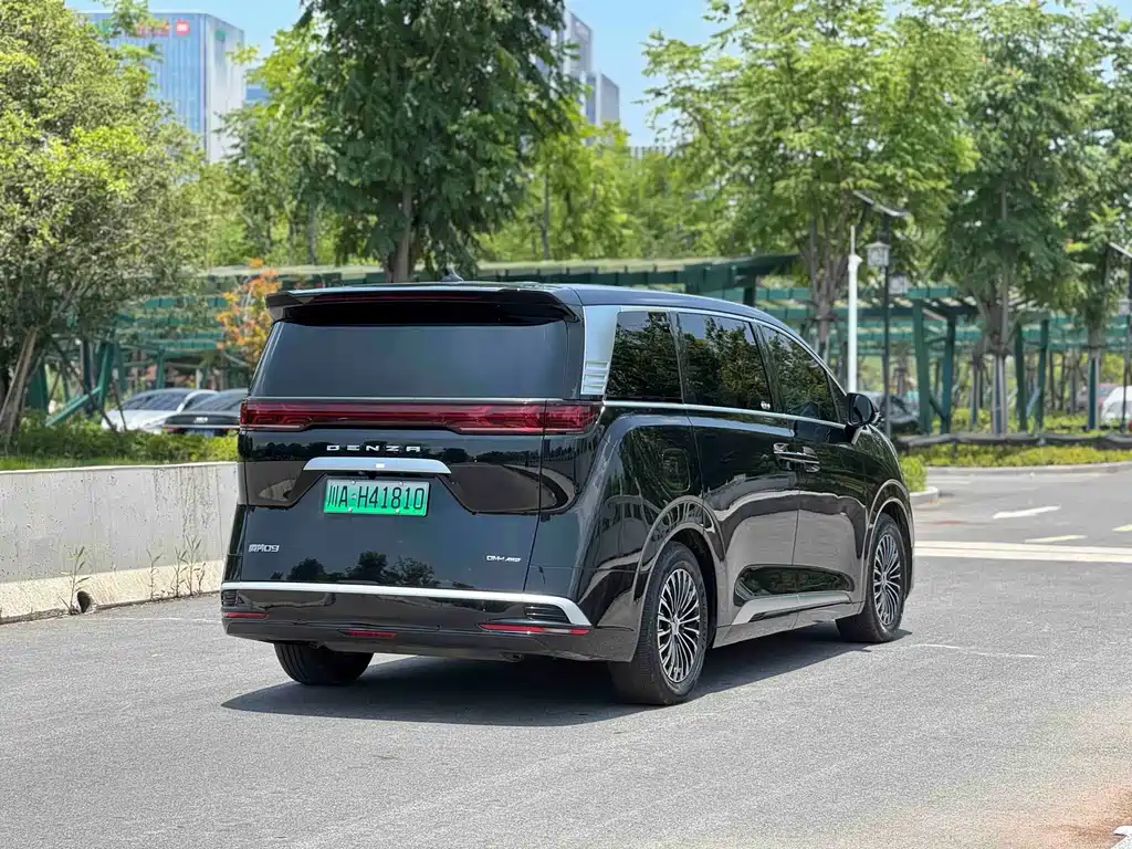 Denza Denza D9 — миниатюра 6