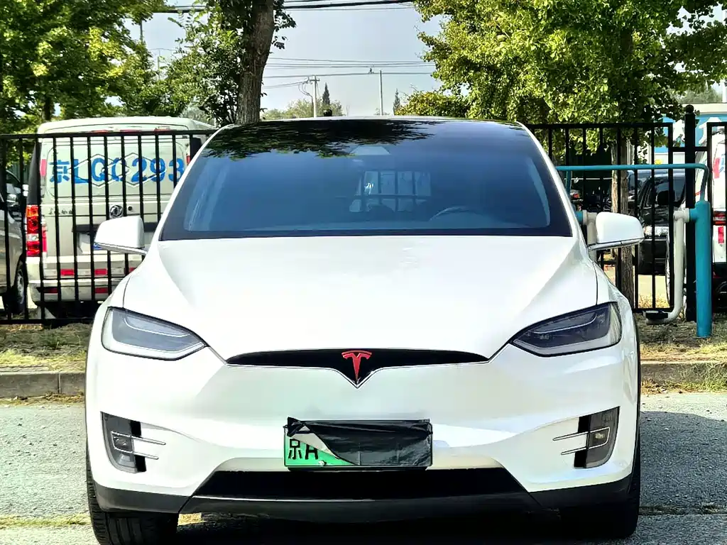 Tesla Model X — миниатюра 2