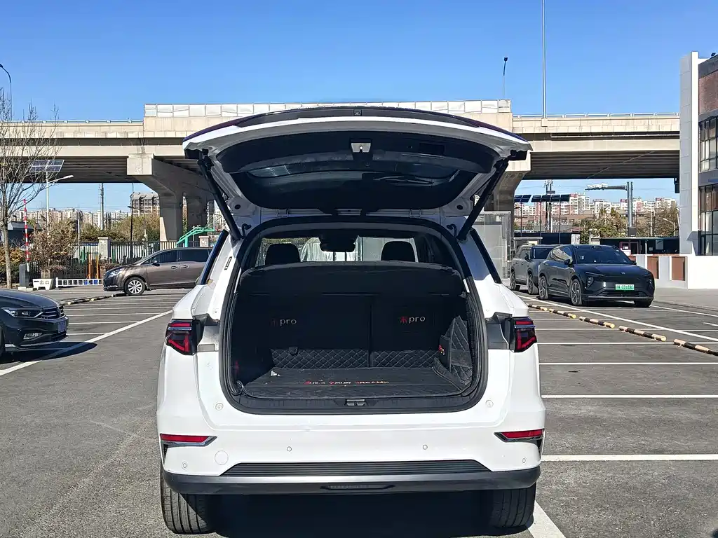 BYD SONGJIANG NEW ENERGY