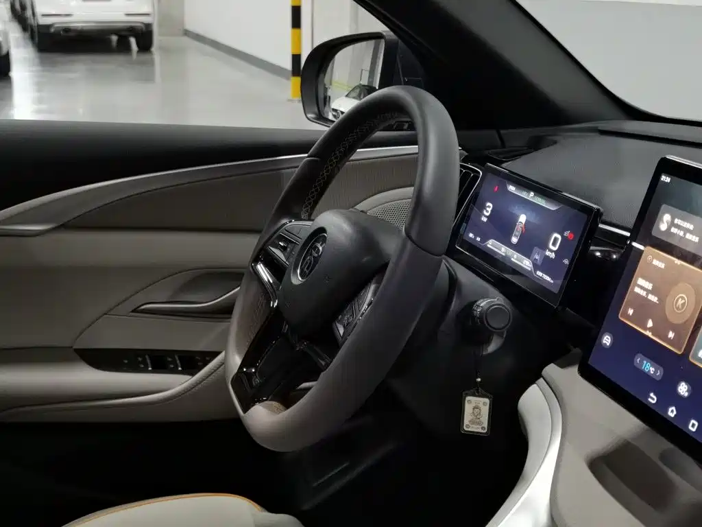 BYD Pro New Energy — миниатюра 22