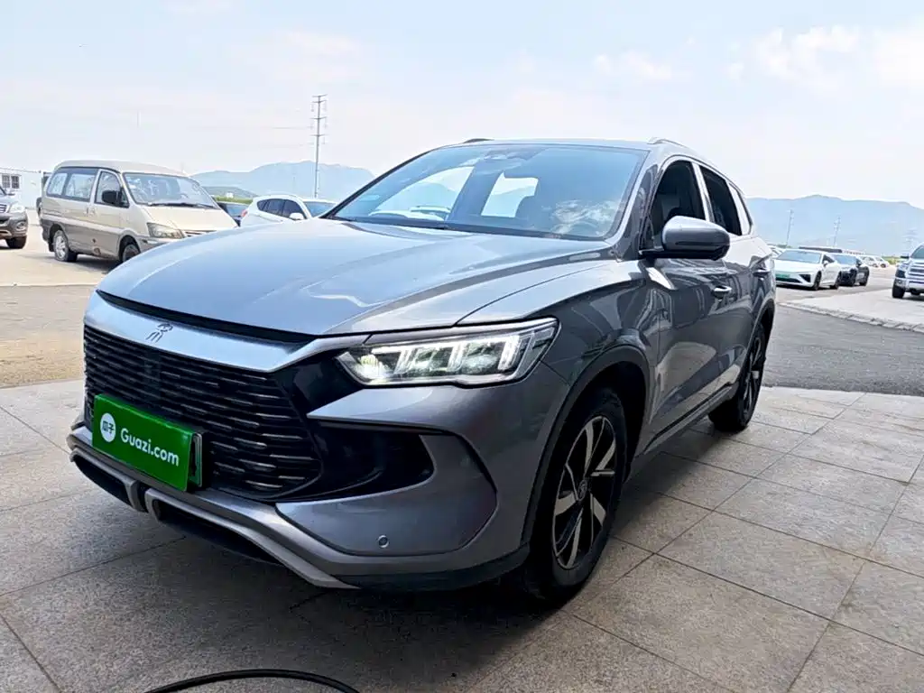 BYD Pro New Energy 2024