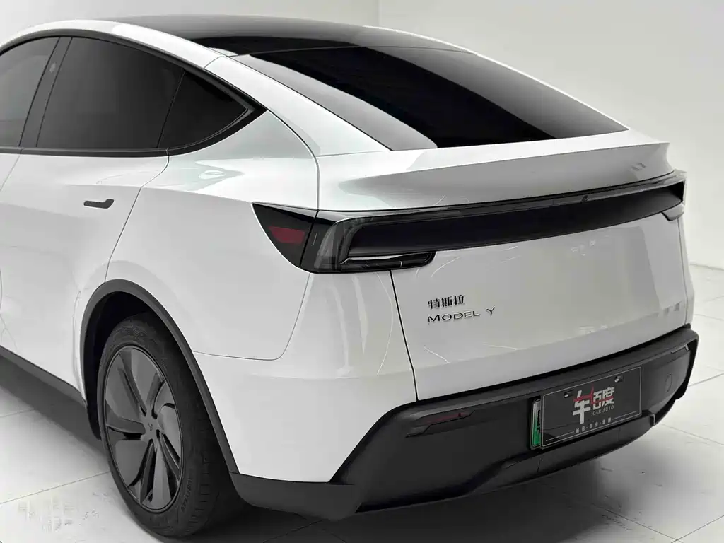Tesla Model Y — миниатюра 22