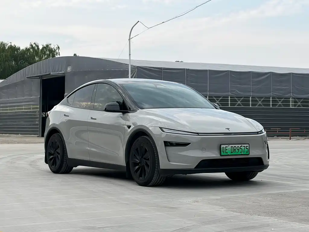 Tesla Model Y — миниатюра 3