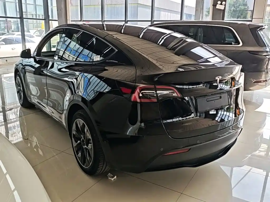 Tesla Model Y — миниатюра 5