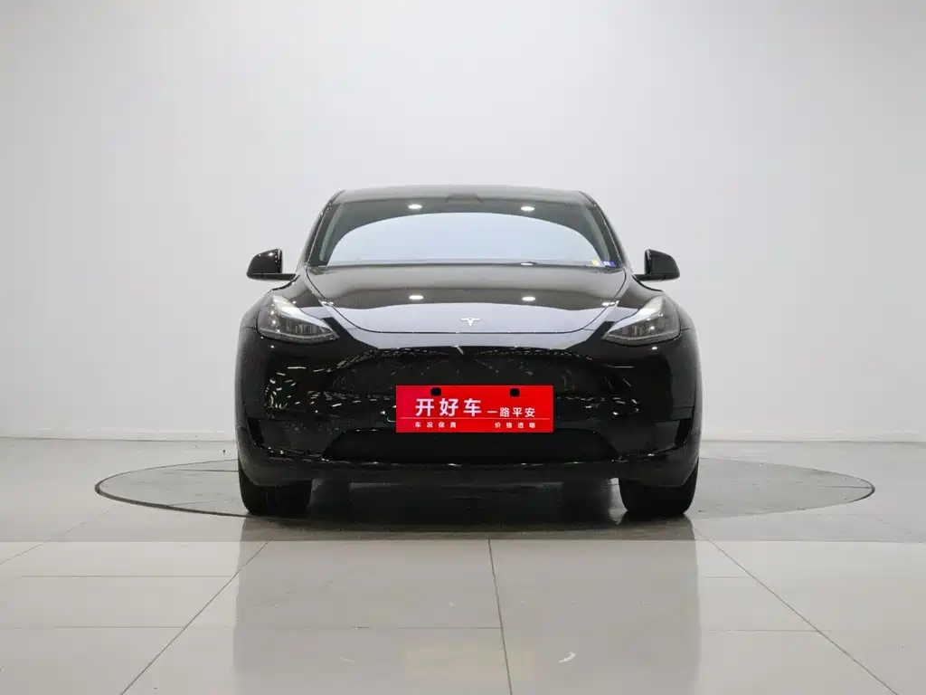Tesla Model Y — миниатюра 2