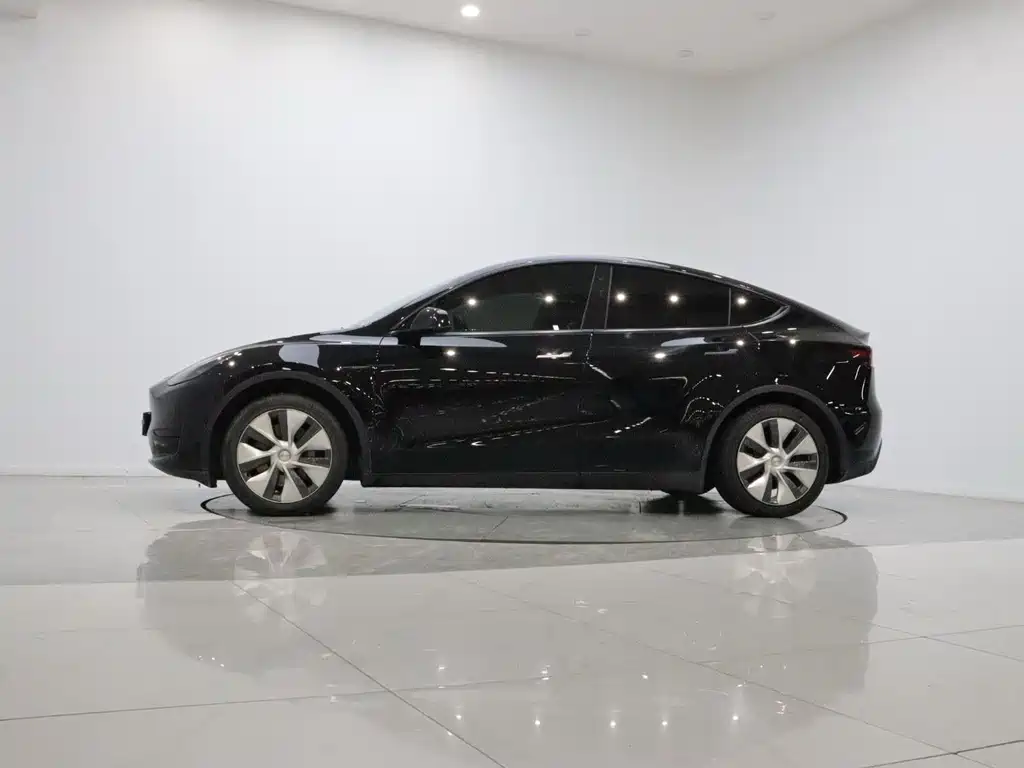 Tesla Model Y — миниатюра 8