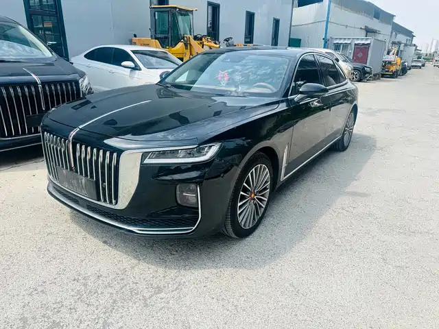 2020 Hongqi H9