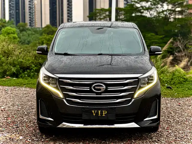 2020 GAC GN8