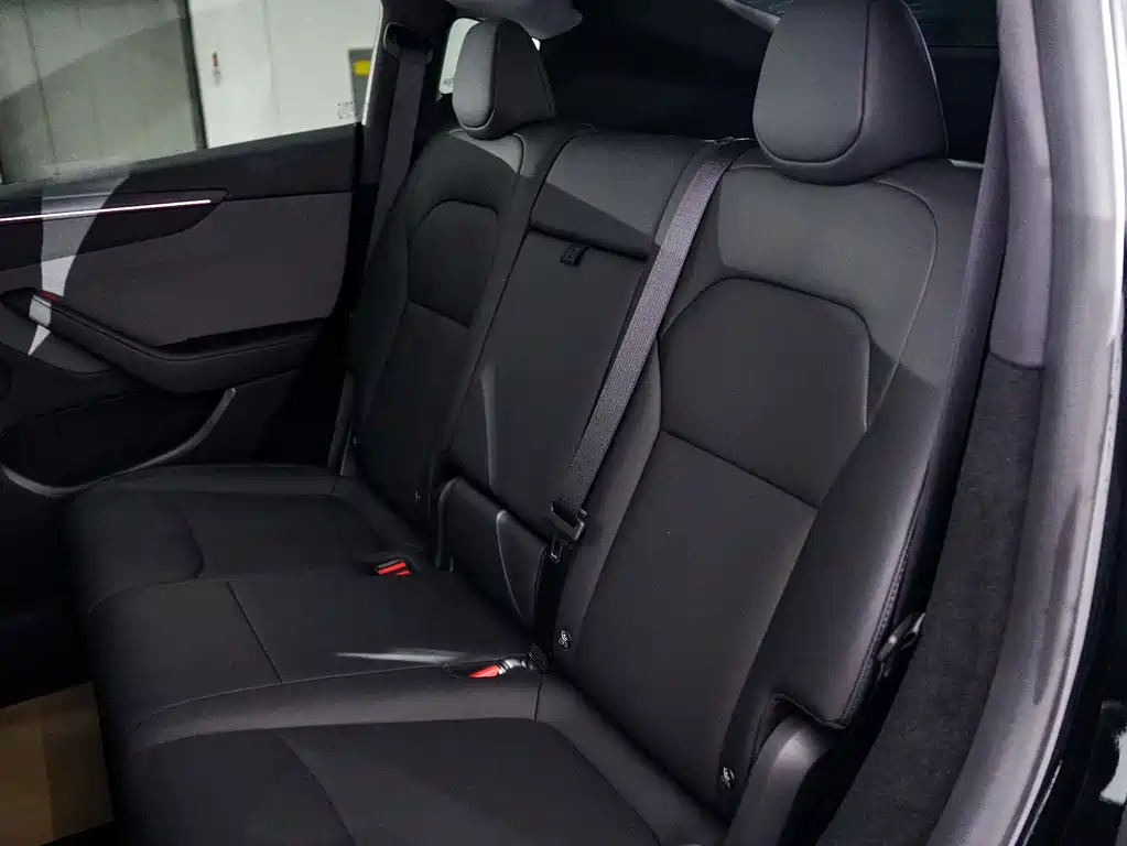 Tesla Model Y — миниатюра 16