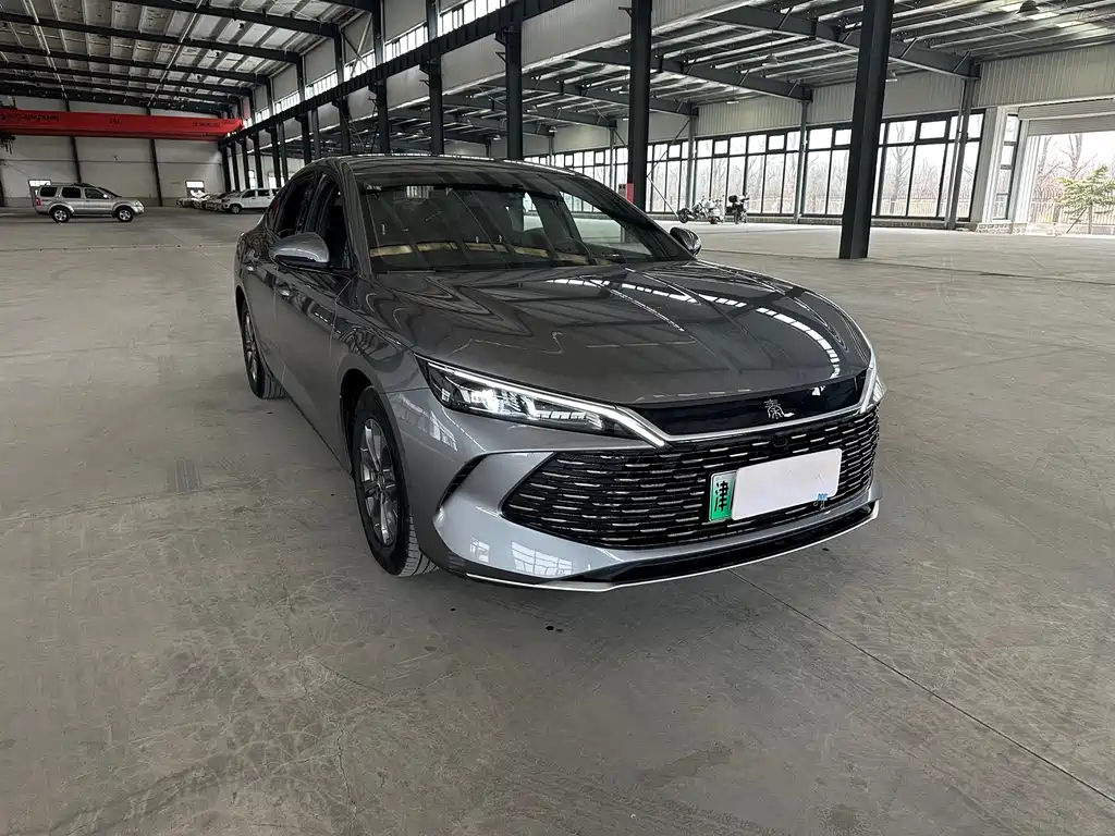 BYD QIN L