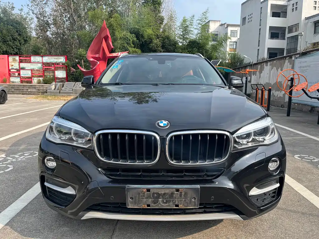 BMW X6 — миниатюра 2