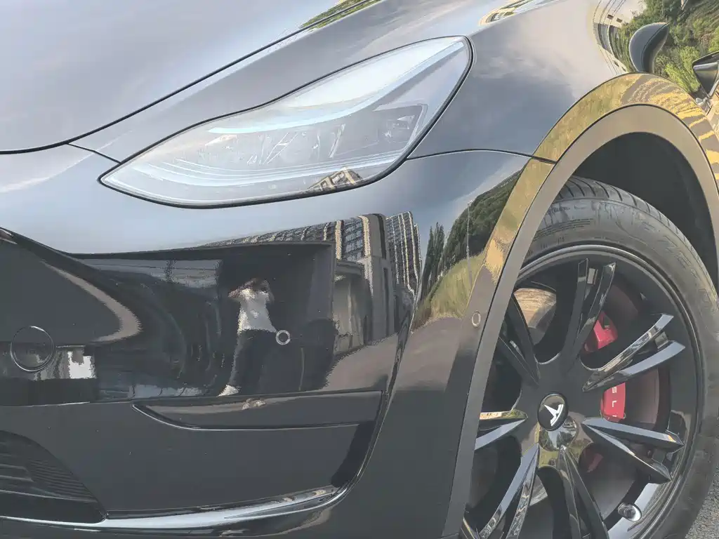 Tesla Model Y — миниатюра 13