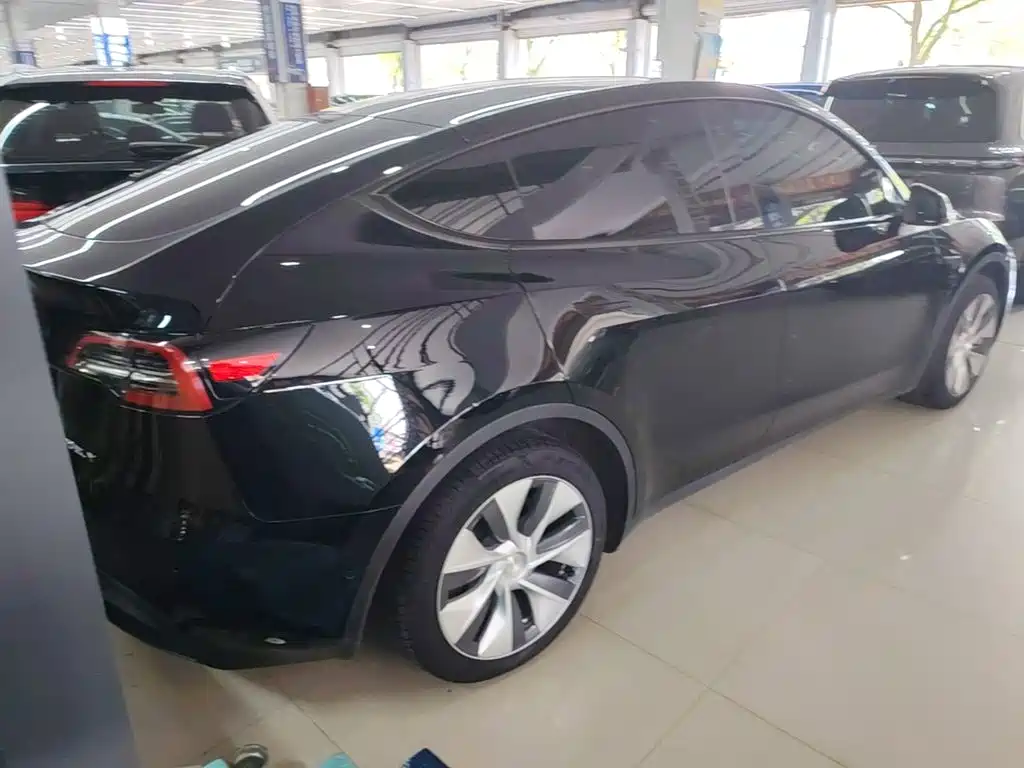 Tesla Model Y — миниатюра 7