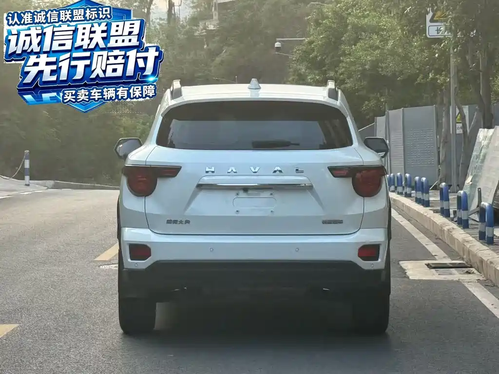 Haval Big Dog PLUS — миниатюра 7
