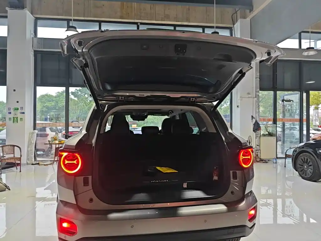 Haval Big Dog PLUS New Energy — миниатюра 19