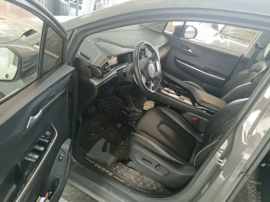 Hyundai Custo — миниатюра 16