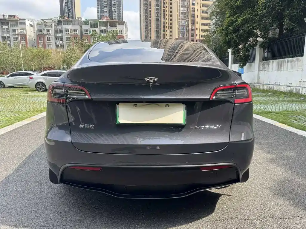Tesla Model Y — миниатюра 8