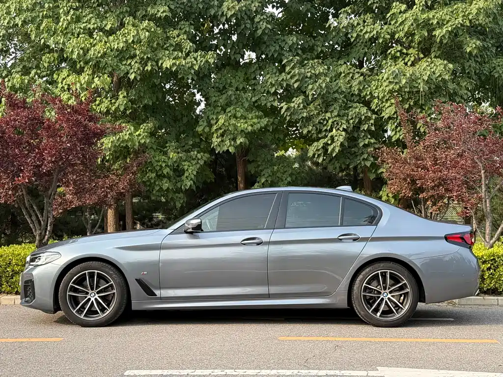 BMW 5 Series (Import) — миниатюра 2