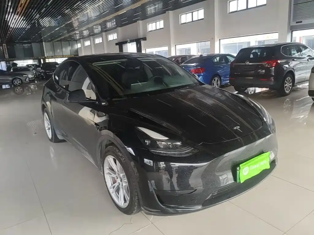 Tesla Model Y — миниатюра 4