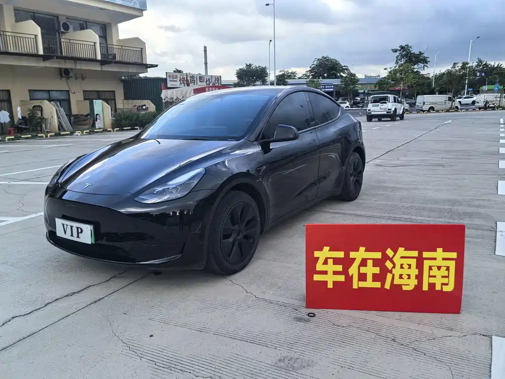 Tesla Model Y — миниатюра 2