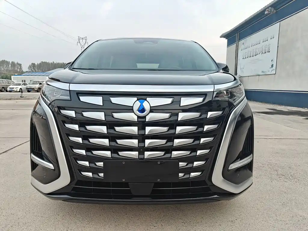 Denza Denza D9 — миниатюра 2