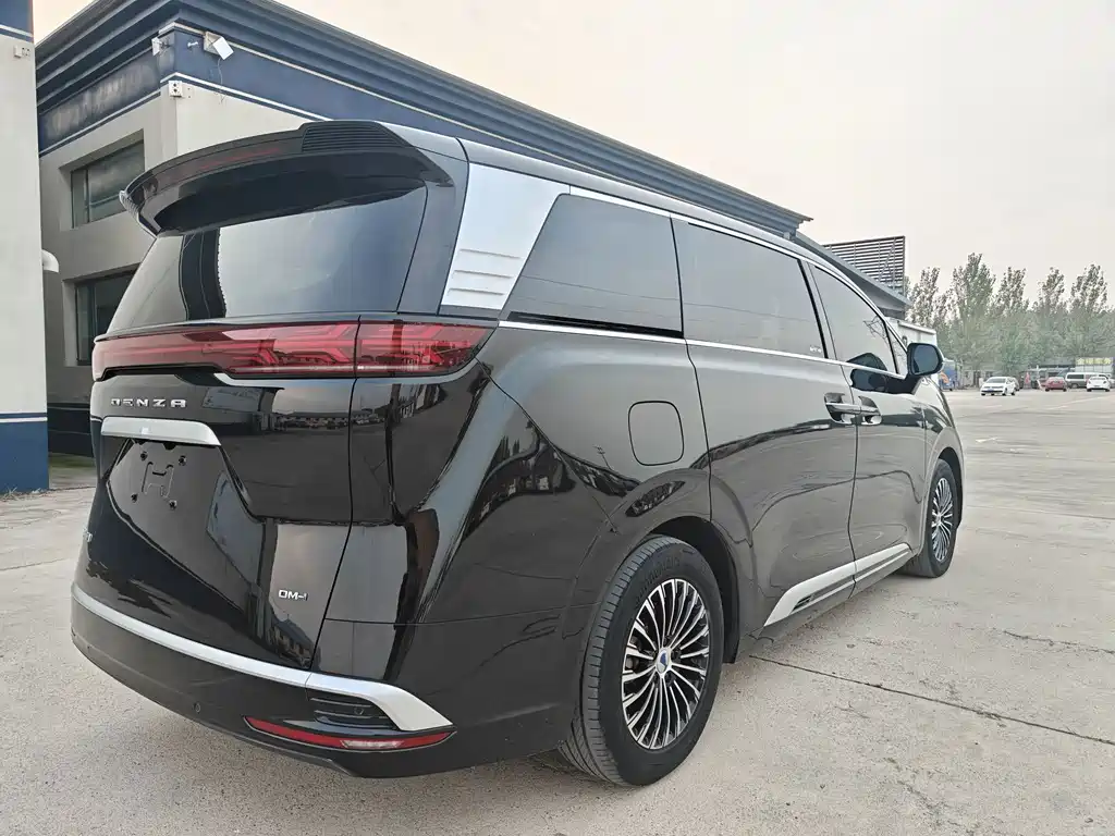 Denza Denza D9 — миниатюра 6