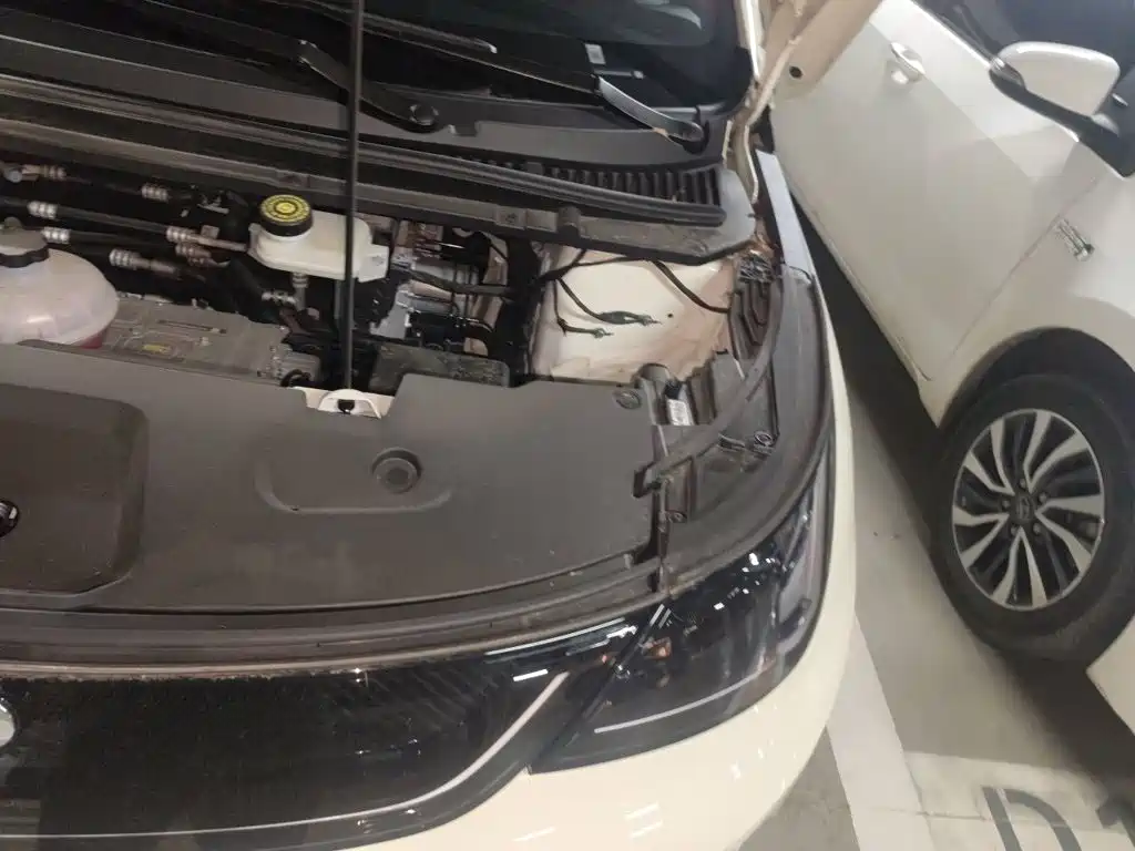 BYD Dolphin — миниатюра 22