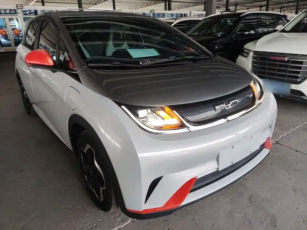 BYD Dolphin — миниатюра 22